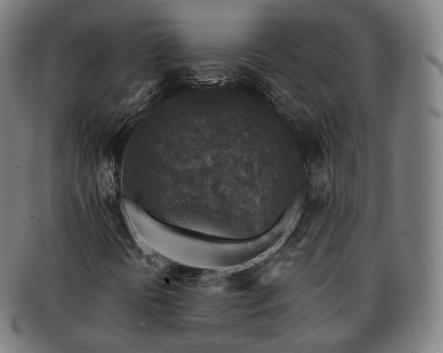 X0000091291394200708241018