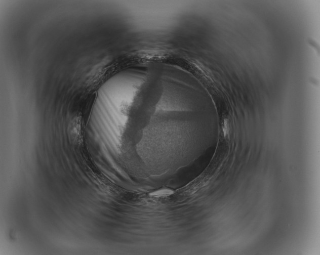 X0000091291396200708241018