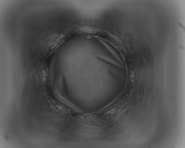 X0000091291397200708241018