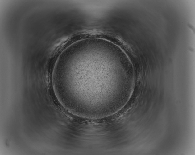 X0000091291398200708241018