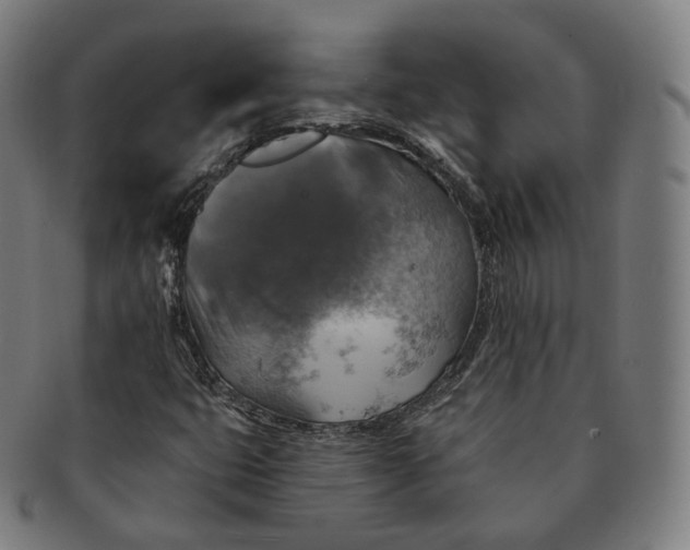 X0000091291399200708241018