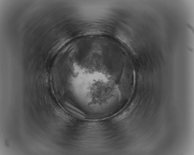 X0000091291401200708241018