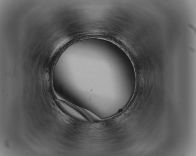 X0000091291402200708241018