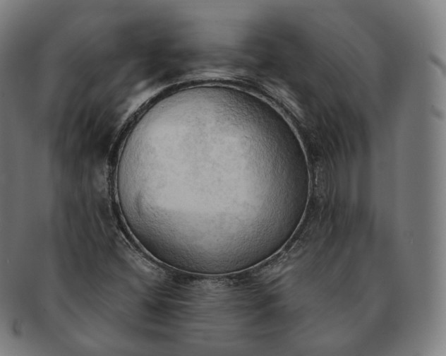 X0000091291404200708241018