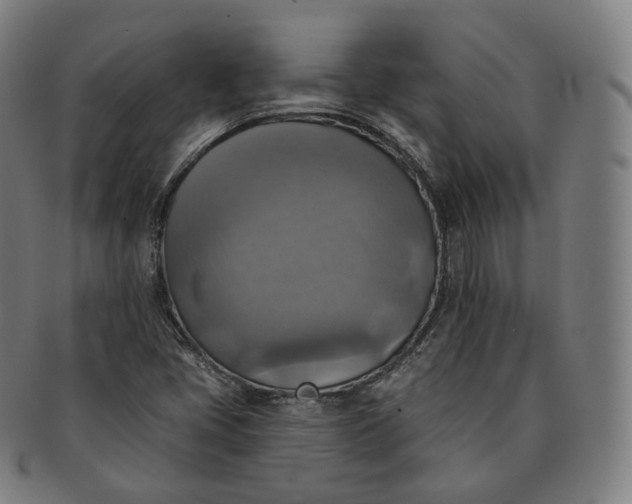 X0000091291405200708241018