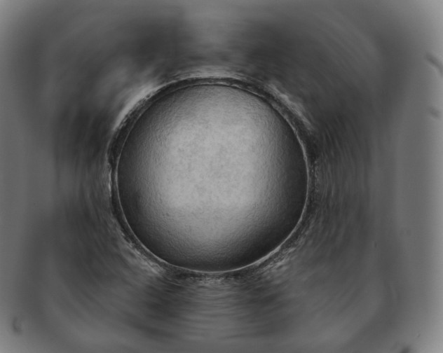 X0000091291408200708241018