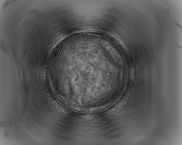 X0000091291409200708241018