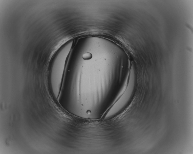 X0000091291410200708241018