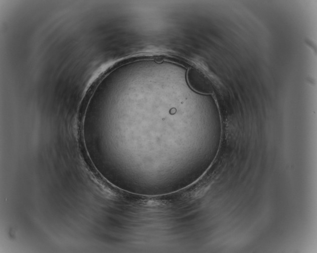 X0000091291412200708241018