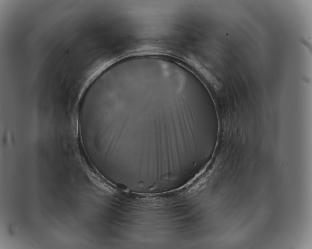 X0000091291413200708241019