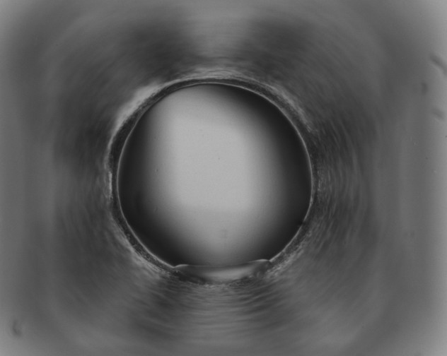 X0000091291414200708241019