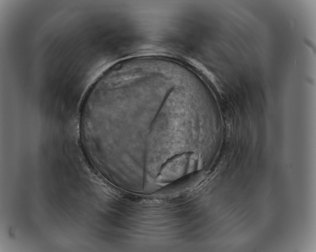 X0000091291415200708241019