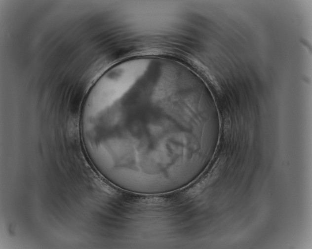 X0000091291417200708241019