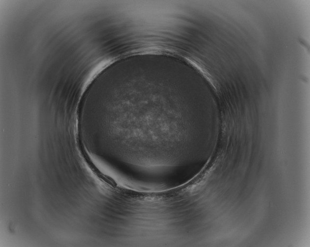 X0000091291418200708241019