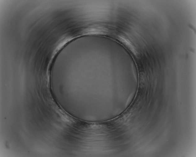 X0000091291419200708241019