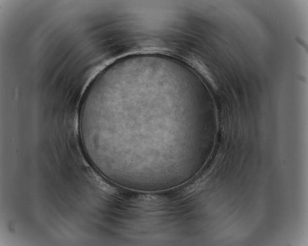 X0000091291420200708241019