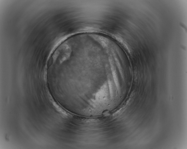 X0000091291421200708241019