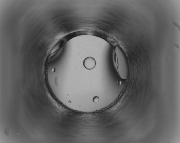 X0000091291422200708241019