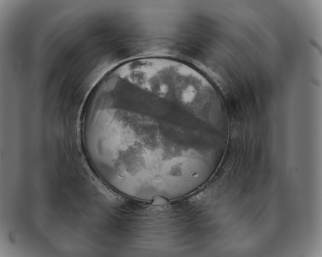 X0000091291423200708241019