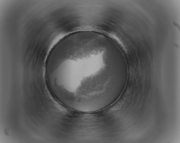 X0000091291424200708241019