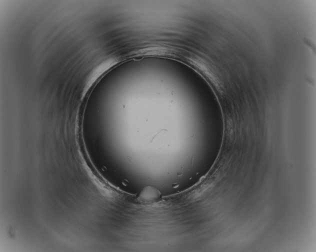 X0000091291426200708241019