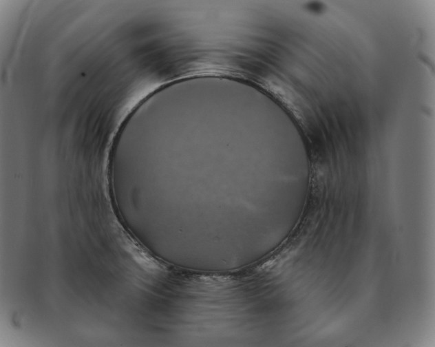 X0000091291427200708241019