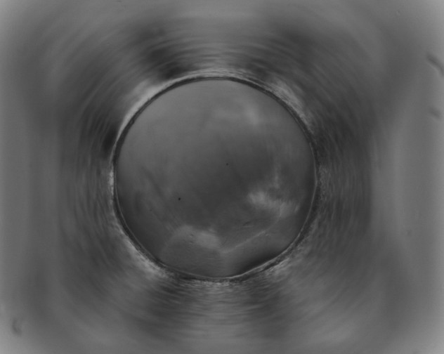 X0000091291428200708241019