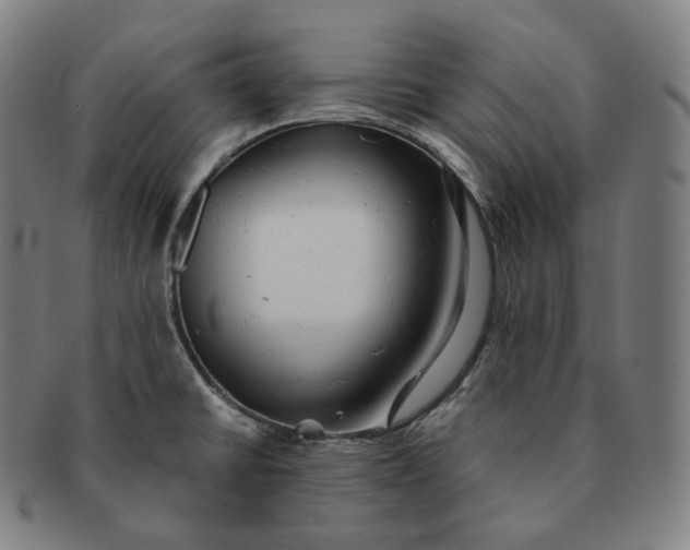 X0000091291430200708241019