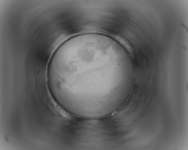 X0000091291431200708241019