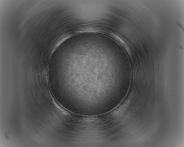 X0000091291433200708241019