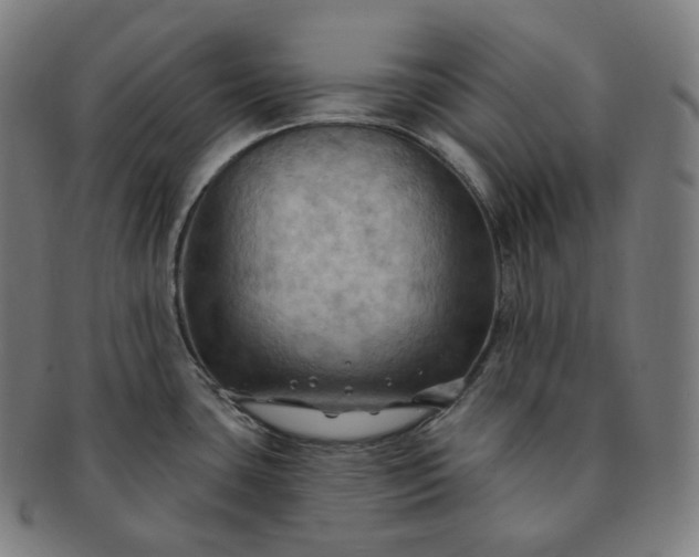 X0000091291435200708241019