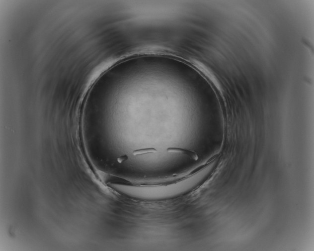 X0000091291437200708241019