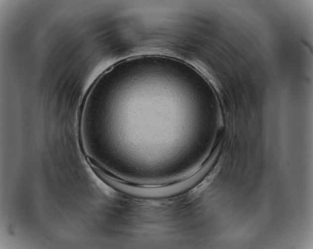 X0000091291438200708241019