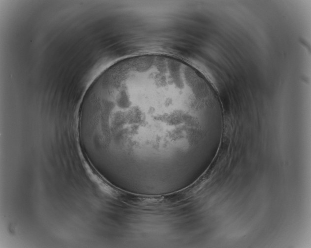 X0000091291439200708241019