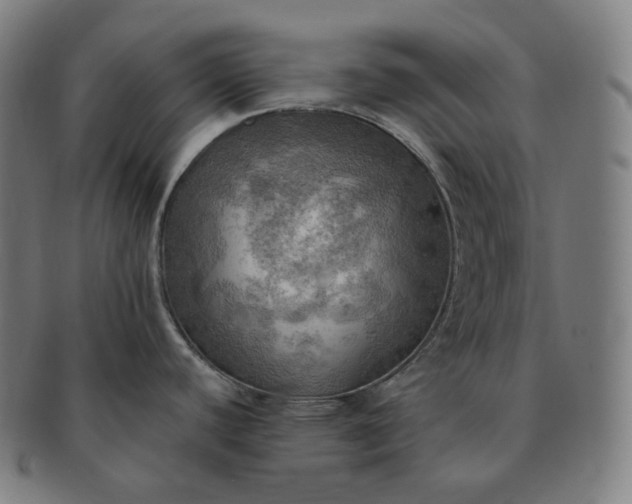 X0000091291440200708241019