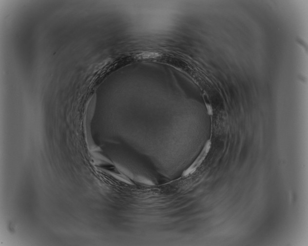 X0000091291441200708241018