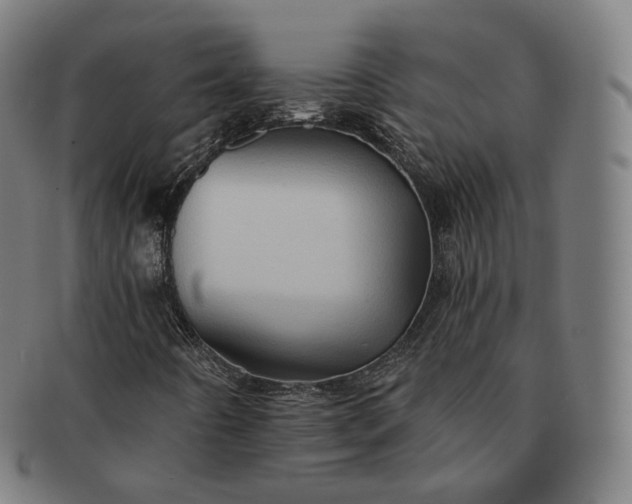 X0000091291442200708241018