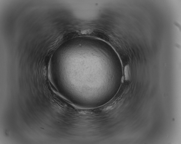 X0000091291443200708241018