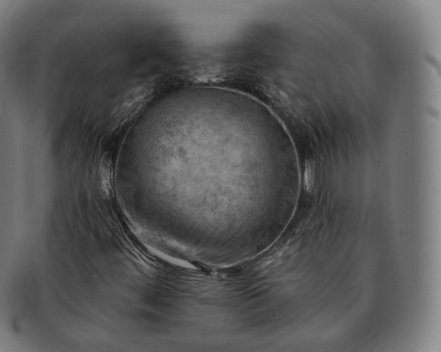 X0000091291444200708241018