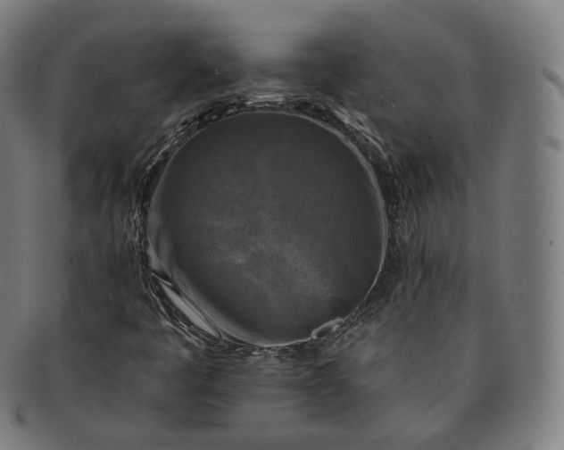 X0000091291445200708241018