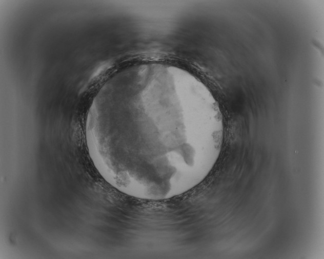 X0000091291446200708241018