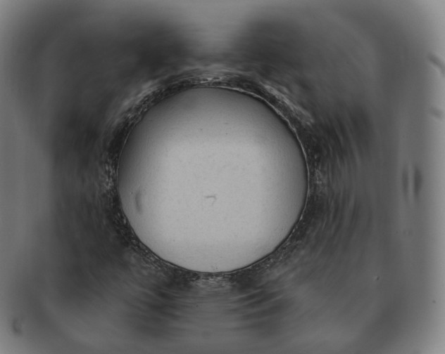 X0000091291447200708241018