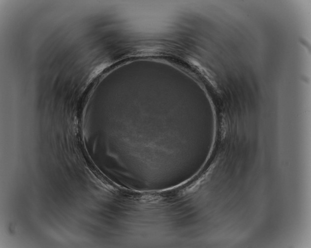 X0000091291449200708241018