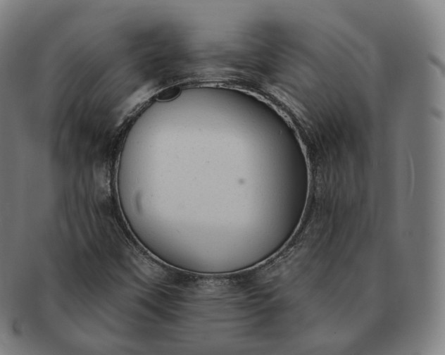 X0000091291451200708241018