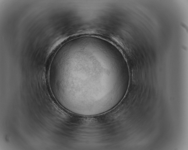 X0000091291452200708241018