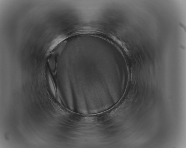 X0000091291453200708241018