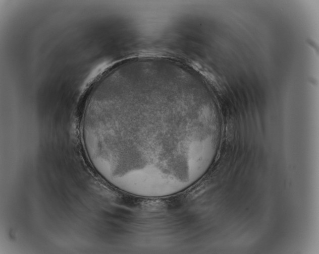 X0000091291454200708241018