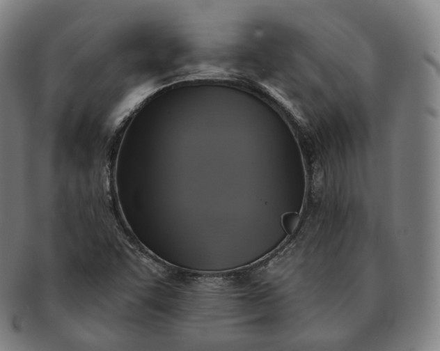 X0000091291455200708241018