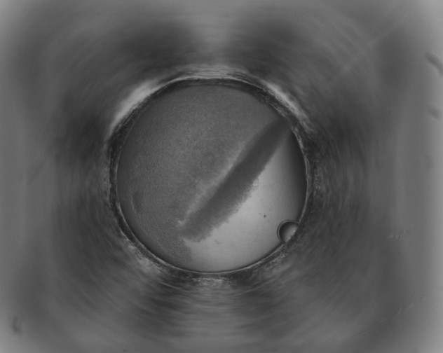 X0000091291456200708241018