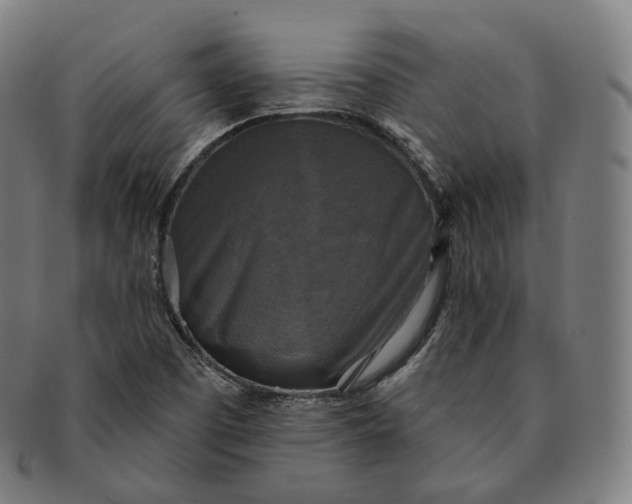 X0000091291457200708241018